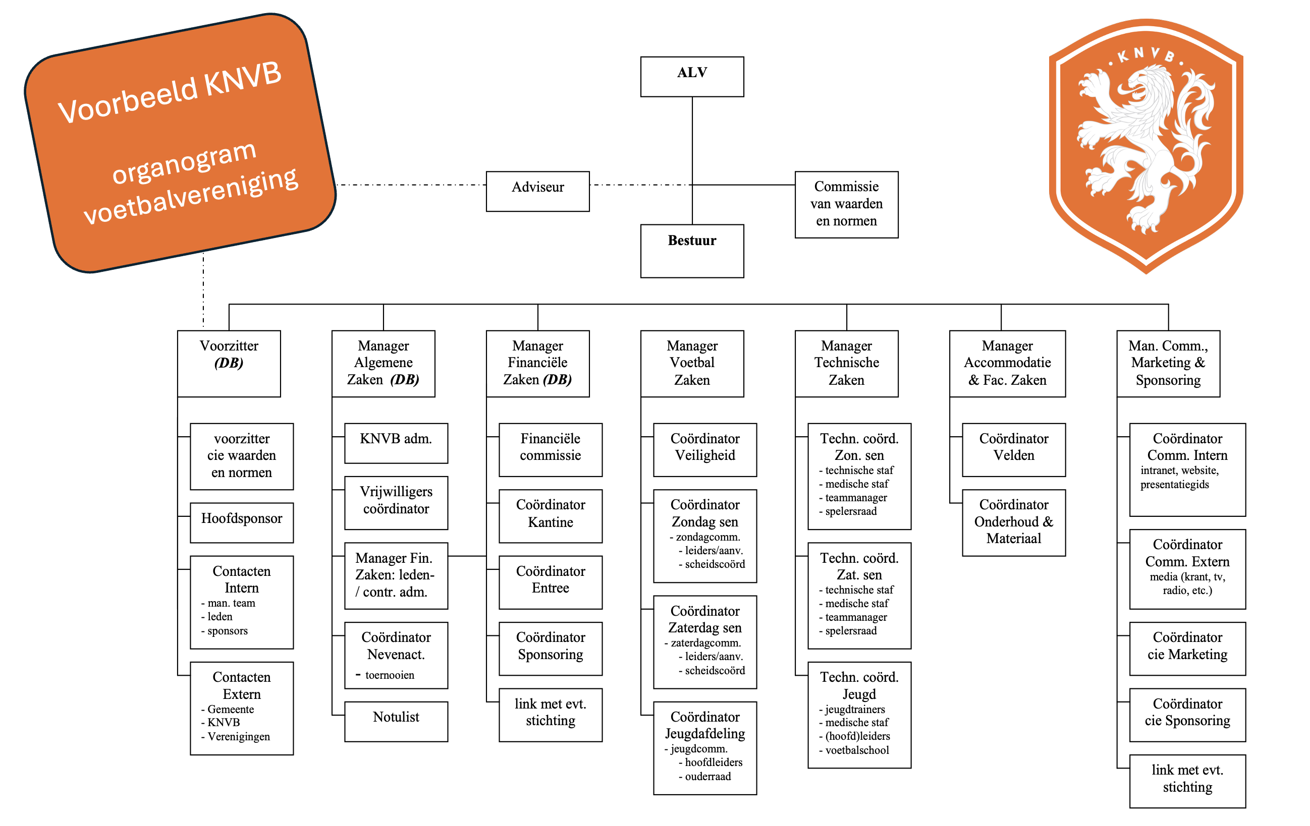 KNVB voorbeeld organogram voetbalvereniging